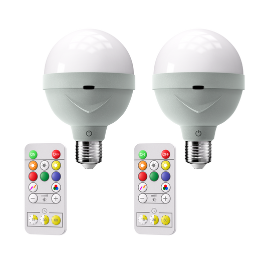 AMPOULE RECHARGEABLE (SET DE 2)